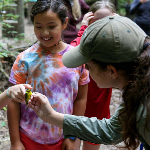 Audubon-Banding Photo