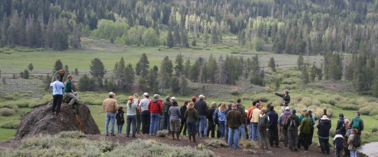 Montane Meadows Riparian Restoration program banner photo