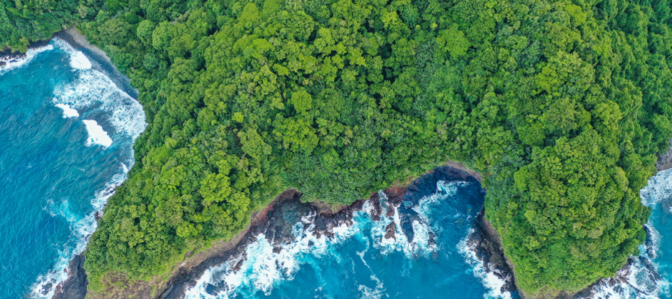 Pacific Islands Research banner photo