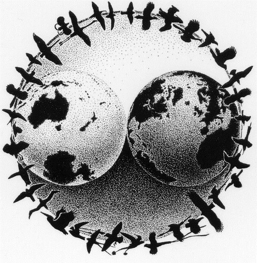 Original IBP Logo
